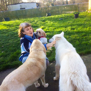 Ribambelle Animale garderie pension canine familiale pays lorient plouay